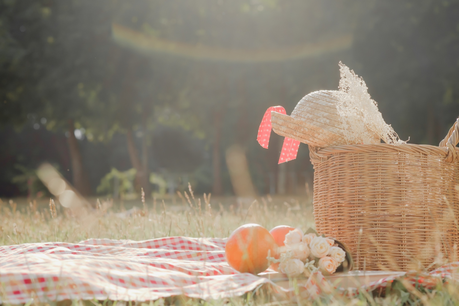 Πώς να πετύχετε το τέλειο Family Vegan Picnic;